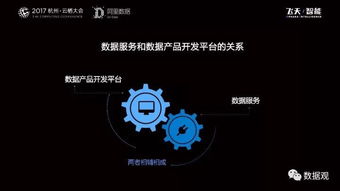 阿里數(shù)據(jù)服務(wù)產(chǎn)品開(kāi)發(fā)及大數(shù)據(jù)體系實(shí)錄 數(shù)據(jù)處理服務(wù)干貨