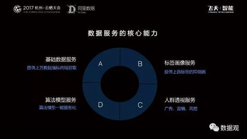 阿里數(shù)據(jù)服務(wù)產(chǎn)品開(kāi)發(fā)及大數(shù)據(jù)體系實(shí)錄